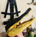 Authentic Preserved Alligator Head