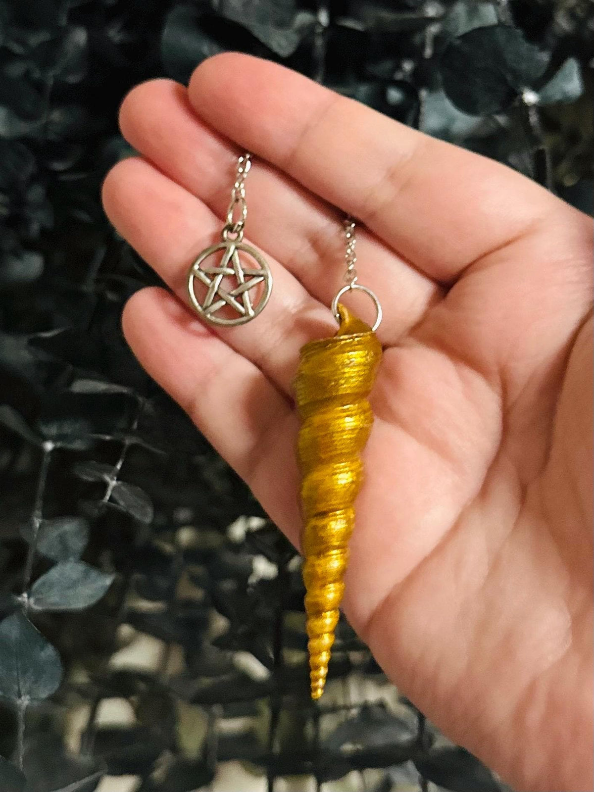 Turritella Seashell Pendulums