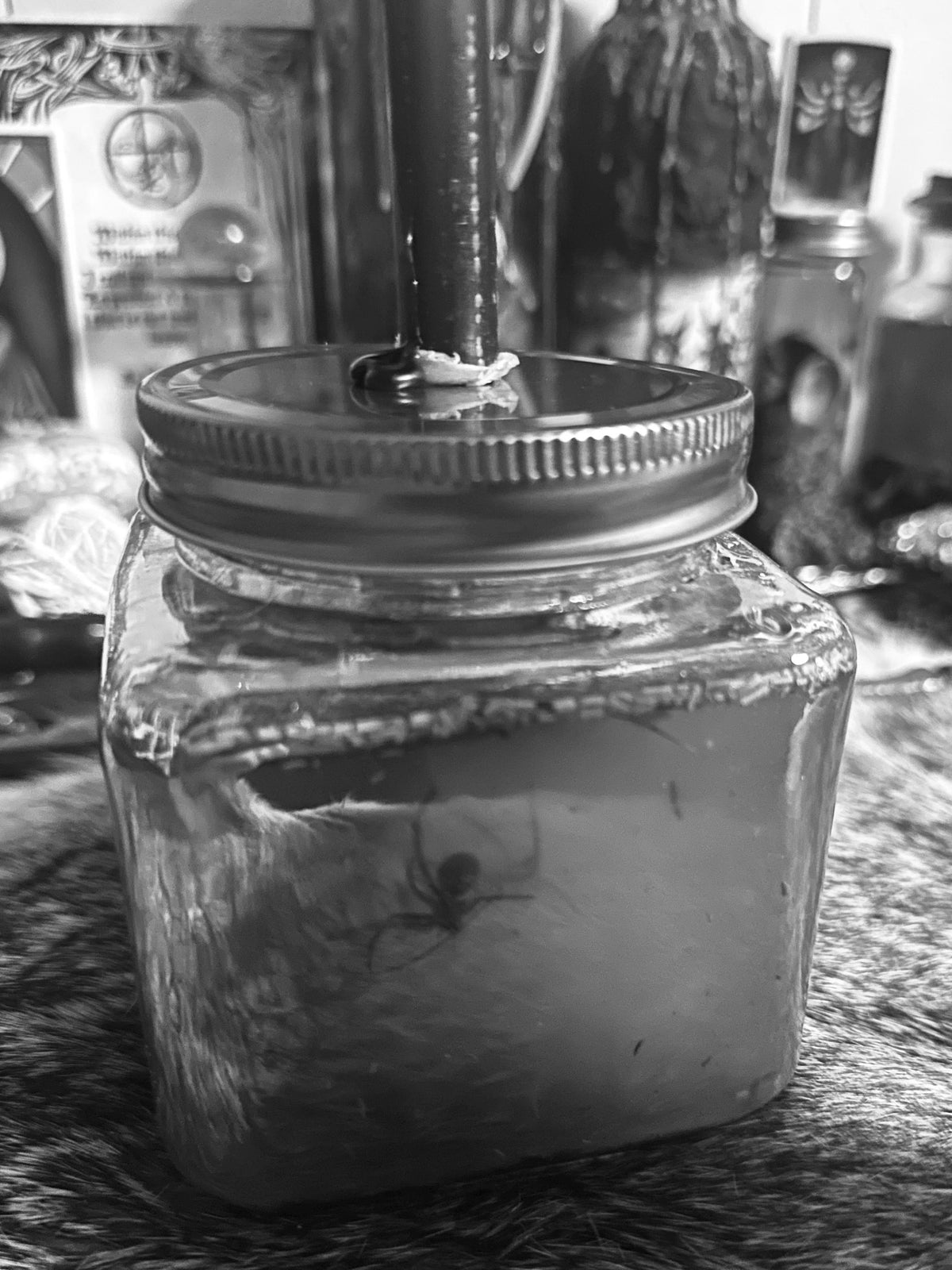 Spider Spell Oil